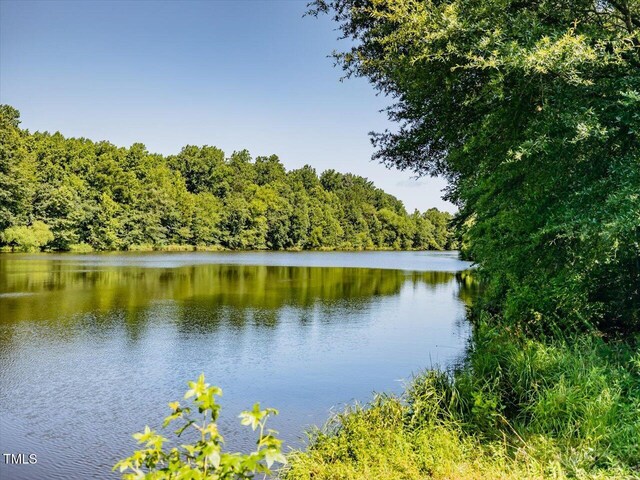 1604 Bonlee School Rd, Bear Creek, NC 27207