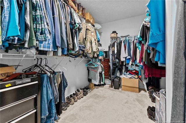 spacious closet featuring carpet