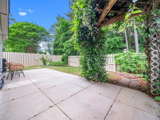 view of patio / terrace with a fenced backyard
