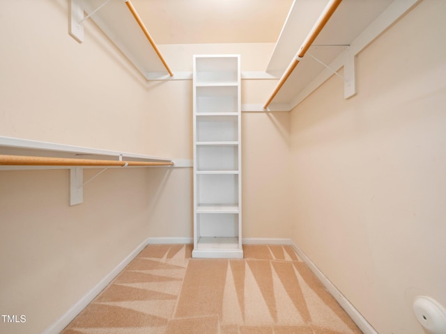 walk in closet featuring carpet floors