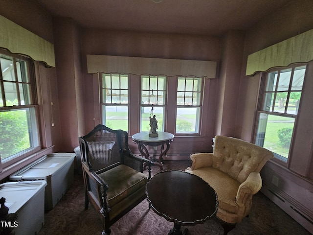 500 W Main St, Benson, NC 27504 - sitting room with plenty of natural light, baseboard heating, and carpet floors