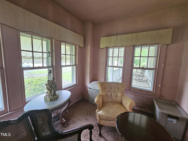 500 W Main St, Benson, NC 27504 - sitting room with a baseboard heating unit