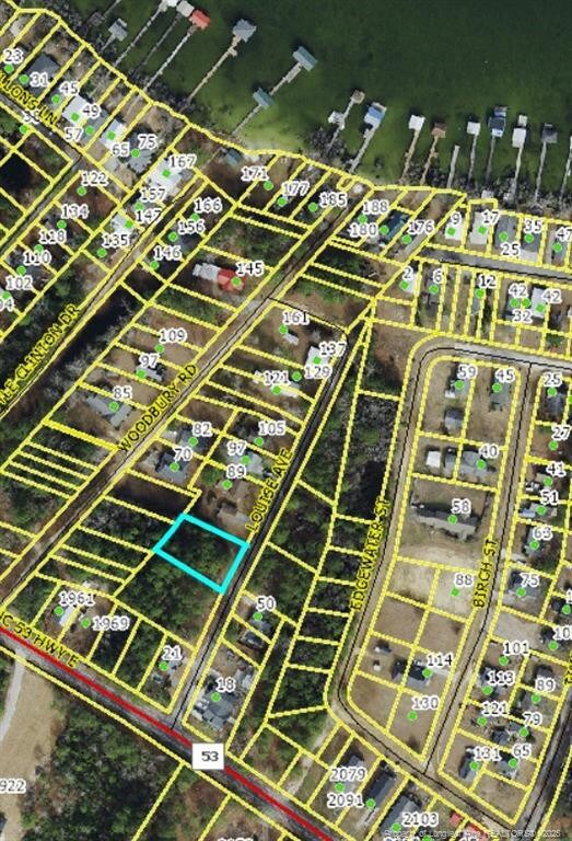Louise Ave, Elizabethtown, NC 28337 - photo 2