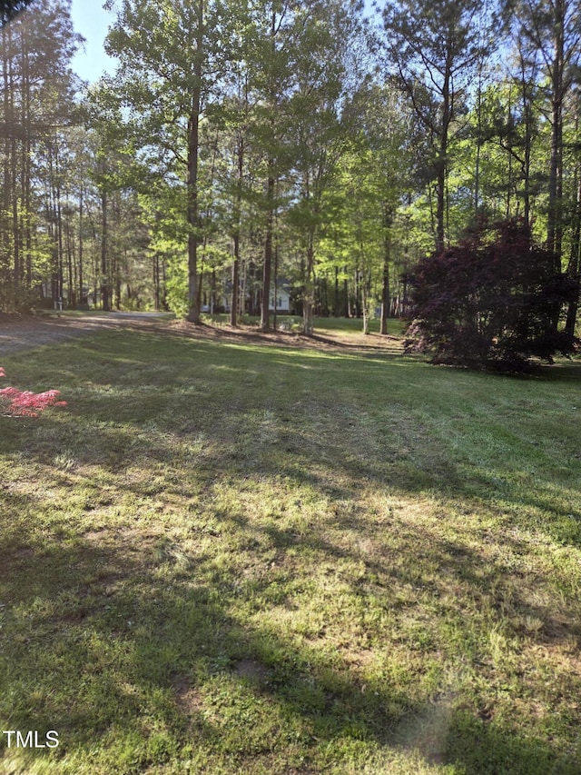 view of green lawn