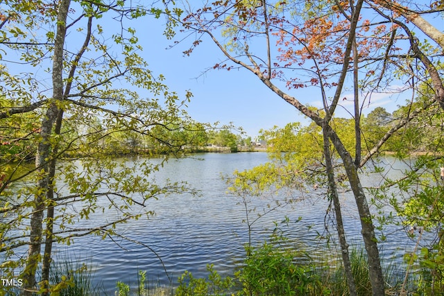 143 Sallyport Ct, Raleigh, NC 27603 - property view of water