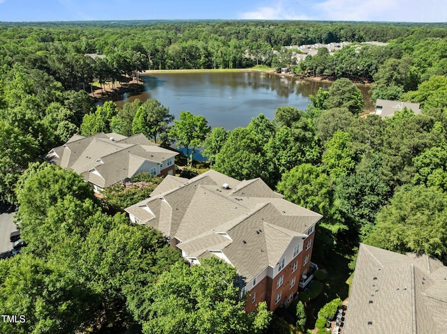 8231 Allyns Landing Way Unit 101, Raleigh, NC 27615 - bird's eye view of a forest and a nearby body of water