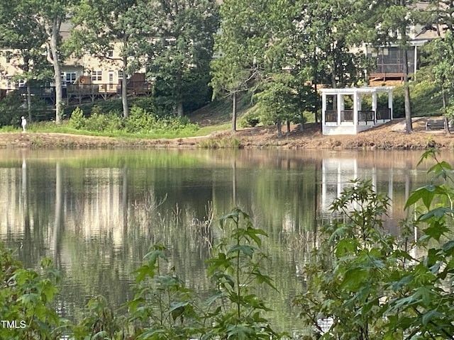 8231 Allyns Landing Way Unit 101, Raleigh, NC 27615 - water view