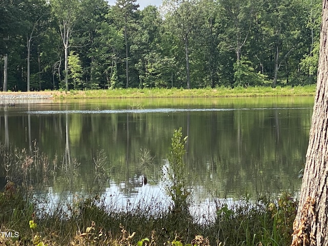 8231 Allyns Landing Way Unit 101, Raleigh, NC 27615 - water view featuring a forest
