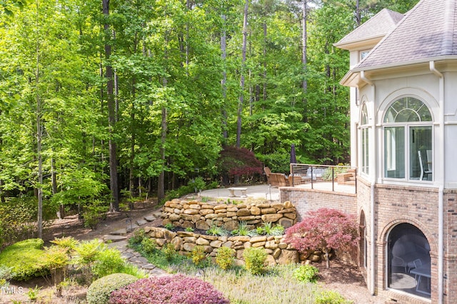view of yard featuring a patio area