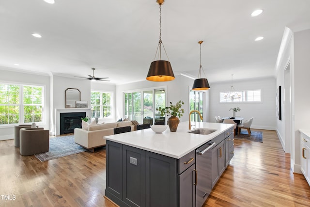 kitchen featuring plenty of natural light, dishwasher, and a sink