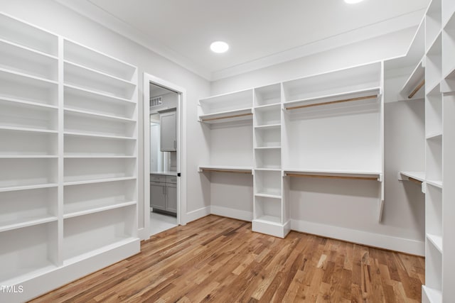 walk in closet featuring wood finished floors