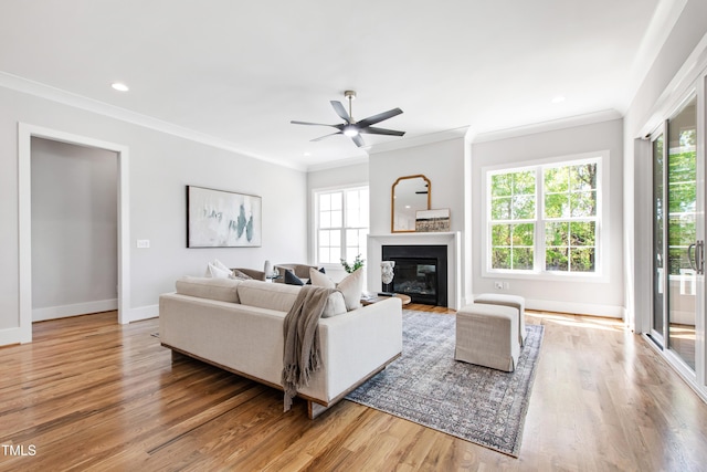 living room featuring wood finished floors, a wealth of natural light, and ornamental molding
