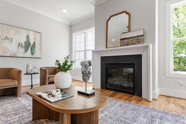 living room featuring a glass covered fireplace, wood finished floors, and baseboards