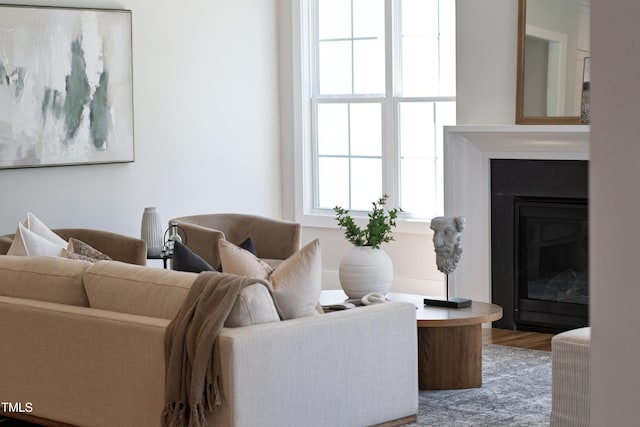 living area with a glass covered fireplace and wood finished floors