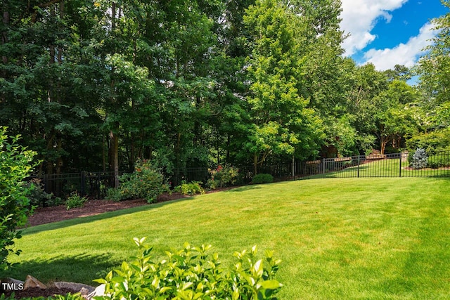 658 Bennett Mountain Trce, Chapel Hill, NC 27516 - photo 56
