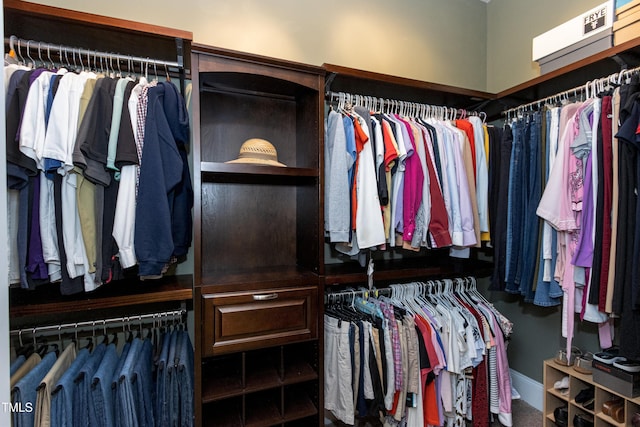 view of spacious closet