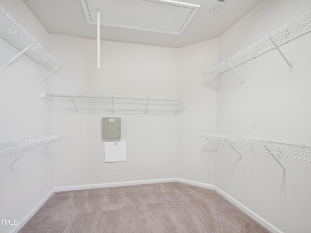 519 Garendon Dr, Cary, NC 27519 - spacious closet featuring carpet floors and visible vents