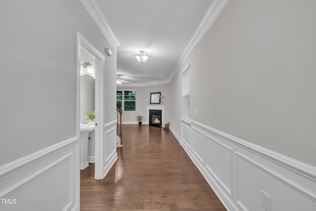 corridor with ornamental molding, wainscoting, a decorative wall, and dark wood-style floors