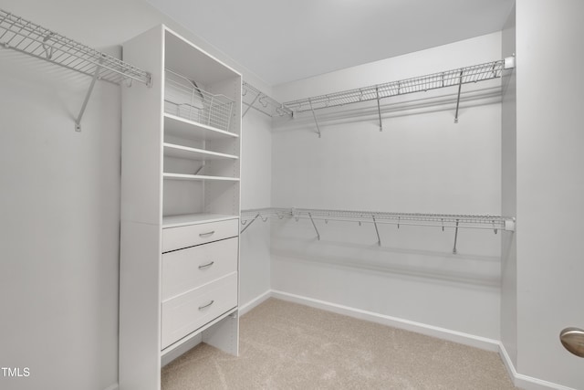 walk in closet with light colored carpet