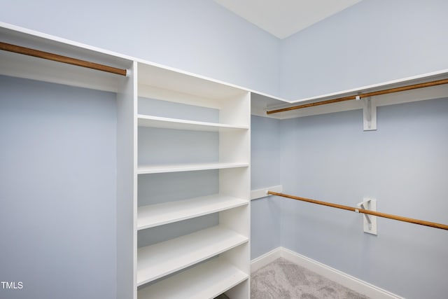2420 Mollynick Ln, Wake Forest, NC 27587 - walk in closet featuring carpet floors