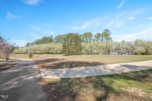 2420 Mollynick Ln, Wake Forest, NC 27587 - view of road