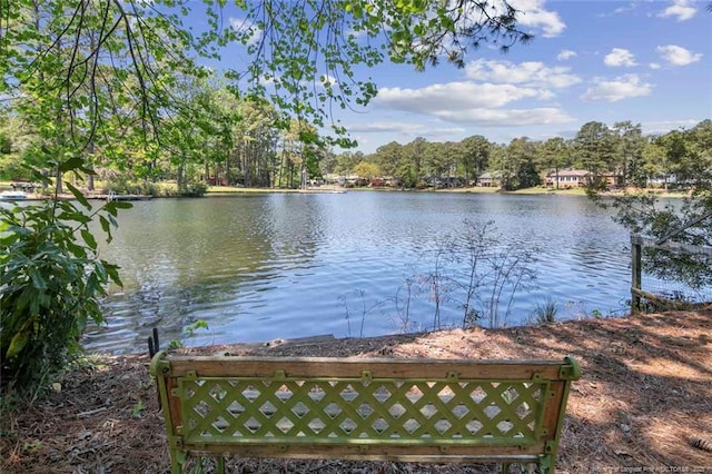 33 Shadow Dr, Whispering Pines, NC 28327 - photo 15