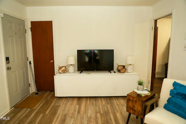living room featuring wood finished floors