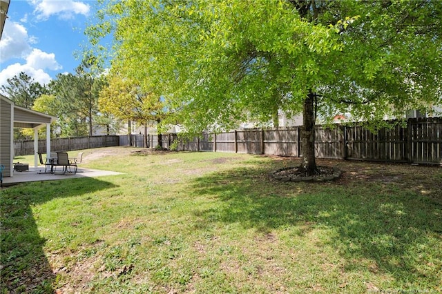 view of yard featuring a patio area