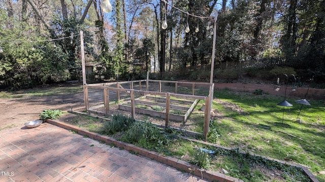 view of yard with a vegetable garden