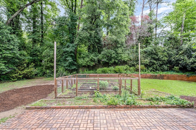 view of yard featuring a vegetable garden