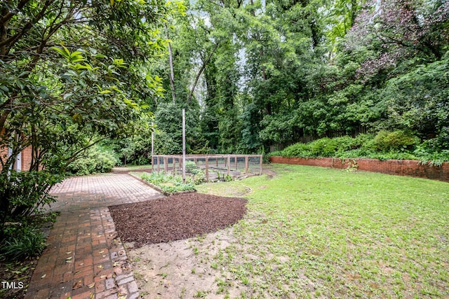 view of grassy yard with a garden