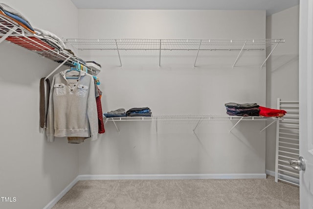316 Hilliard Forest Dr, Cary, NC 27519 - spacious closet with carpet flooring