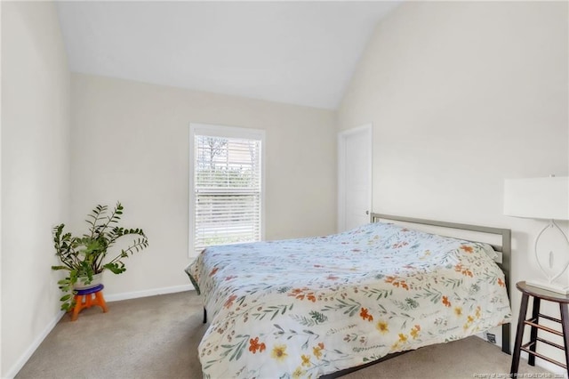 205 Bedford Rd, Spring Lake, NC 28390 - photo 39