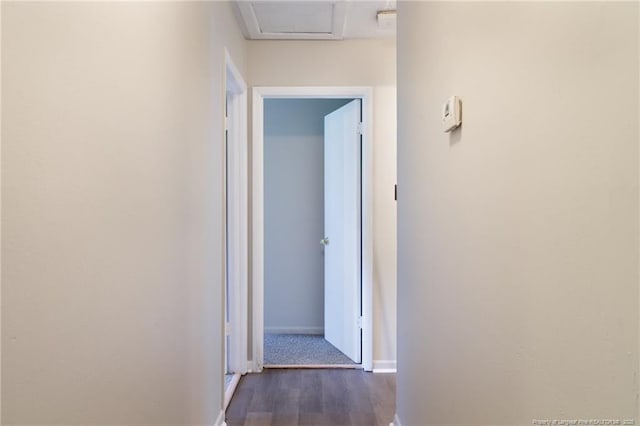 6506 Sprucewood Rd, Fayetteville, NC 28304 - hallway with dark wood-style flooring and baseboards