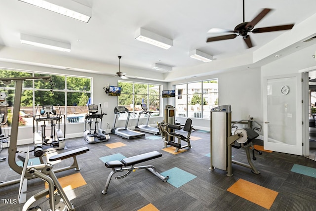 2027 Hayes Ln, Holly Springs, NC 27540 - workout area featuring ceiling fan, baseboards, and carpet