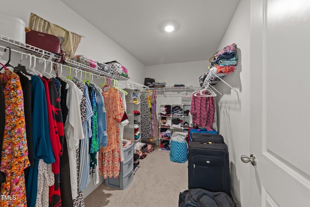 2211 Cherry Top Dr, Fuquay Varina, NC 27526 - spacious closet with carpet flooring