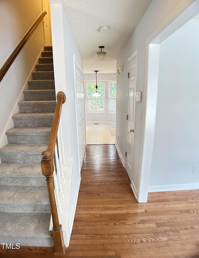 109 Elmview Dr, Cary, NC 27519 - stairs featuring wood finished floors, baseboards, and a textured ceiling