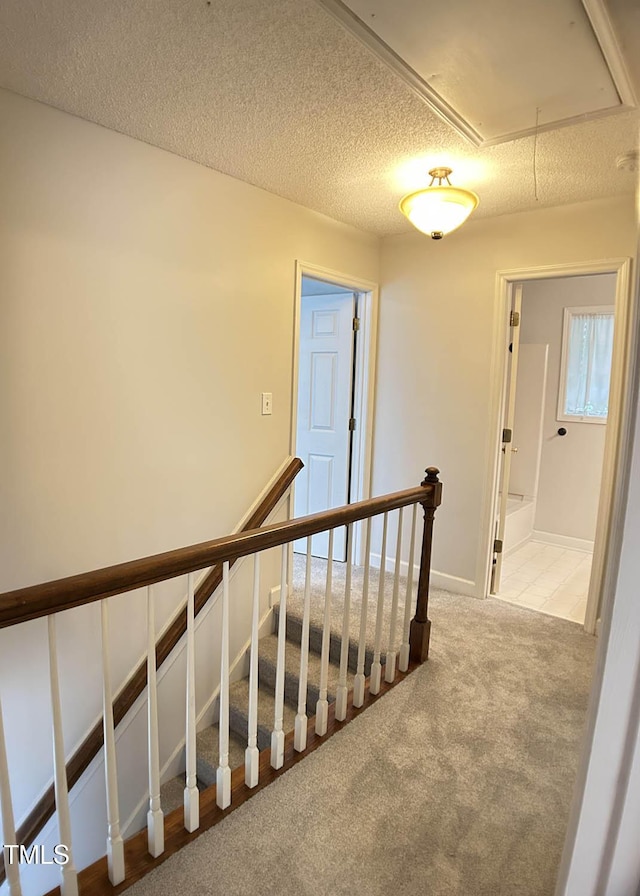 109 Elmview Dr, Cary, NC 27519 - stairway featuring attic access and carpet flooring
