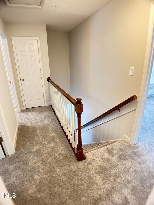 109 Elmview Dr, Cary, NC 27519 - staircase featuring carpet flooring and baseboards