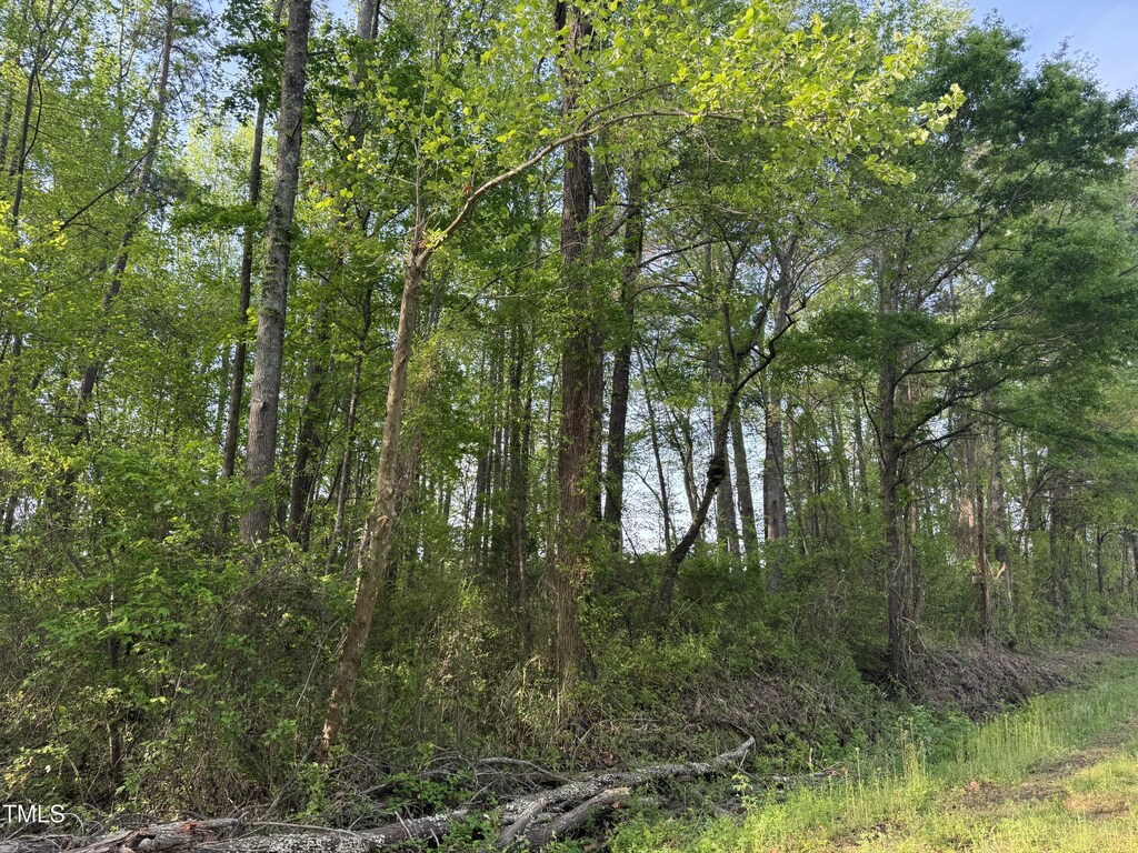 LOT1 Mitchell Rd, Lillington, NC 27546 - photo 2