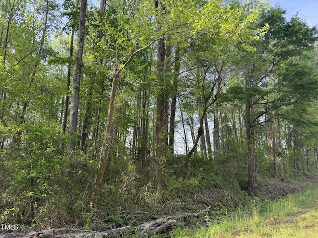 LOT1 Mitchell Rd, Lillington, NC 27546 - photo 2