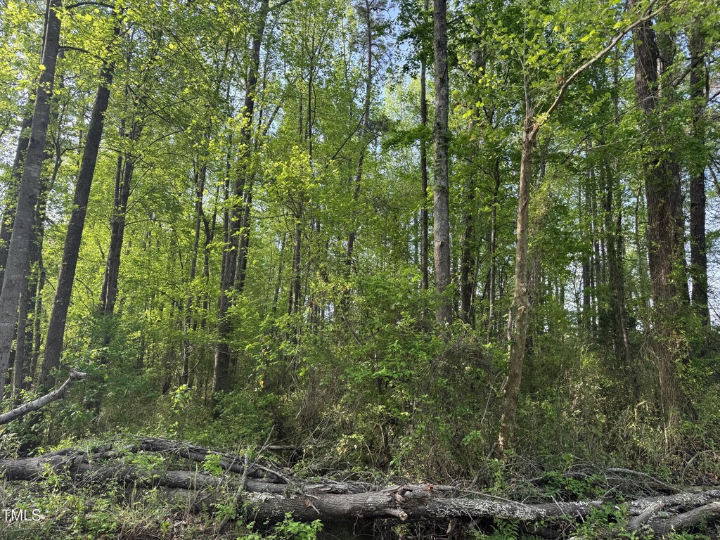 LOT1 Mitchell Rd, Lillington, NC 27546 - photo 3