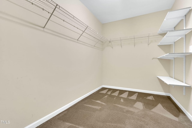 105 Ryder Cup Cir, Raleigh, NC 27603 - spacious closet featuring carpet floors