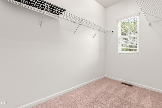 walk in closet featuring carpet and visible vents