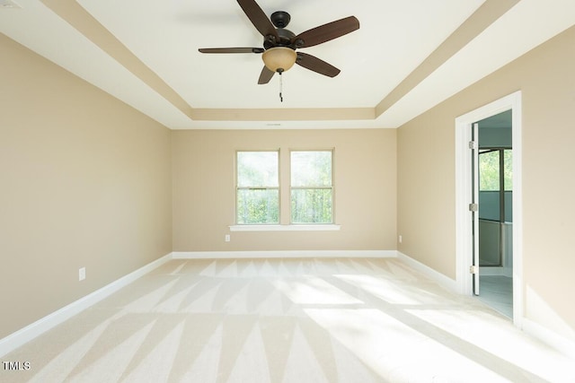 spare room with plenty of natural light, light carpet, and a raised ceiling