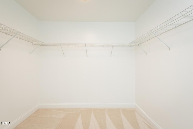 walk in closet with light carpet