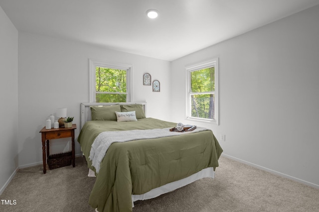 bedroom featuring carpet, baseboards, and multiple windows
