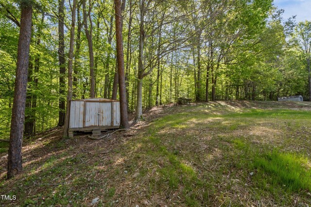 view of yard with an outdoor structure and a shed