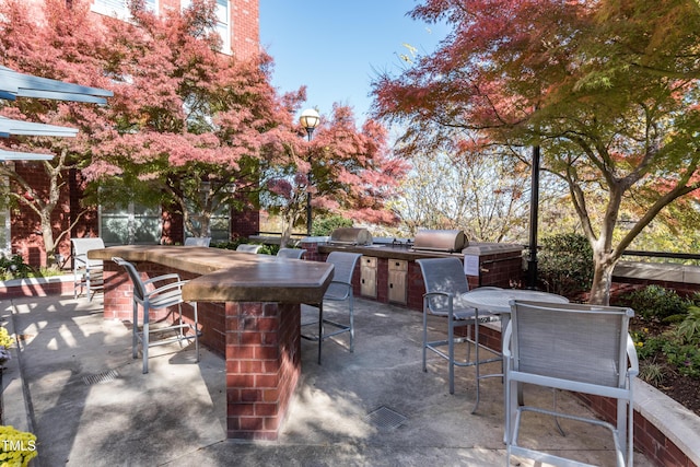 view of patio featuring outdoor wet bar and area for grilling