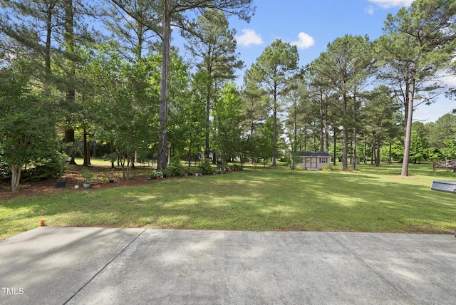view of grassy yard featuring view of wooded area